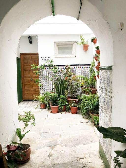 Casa Perla Blanca - A Hidden Gem In The Old Town Apartment Tarifa Bagian luar foto